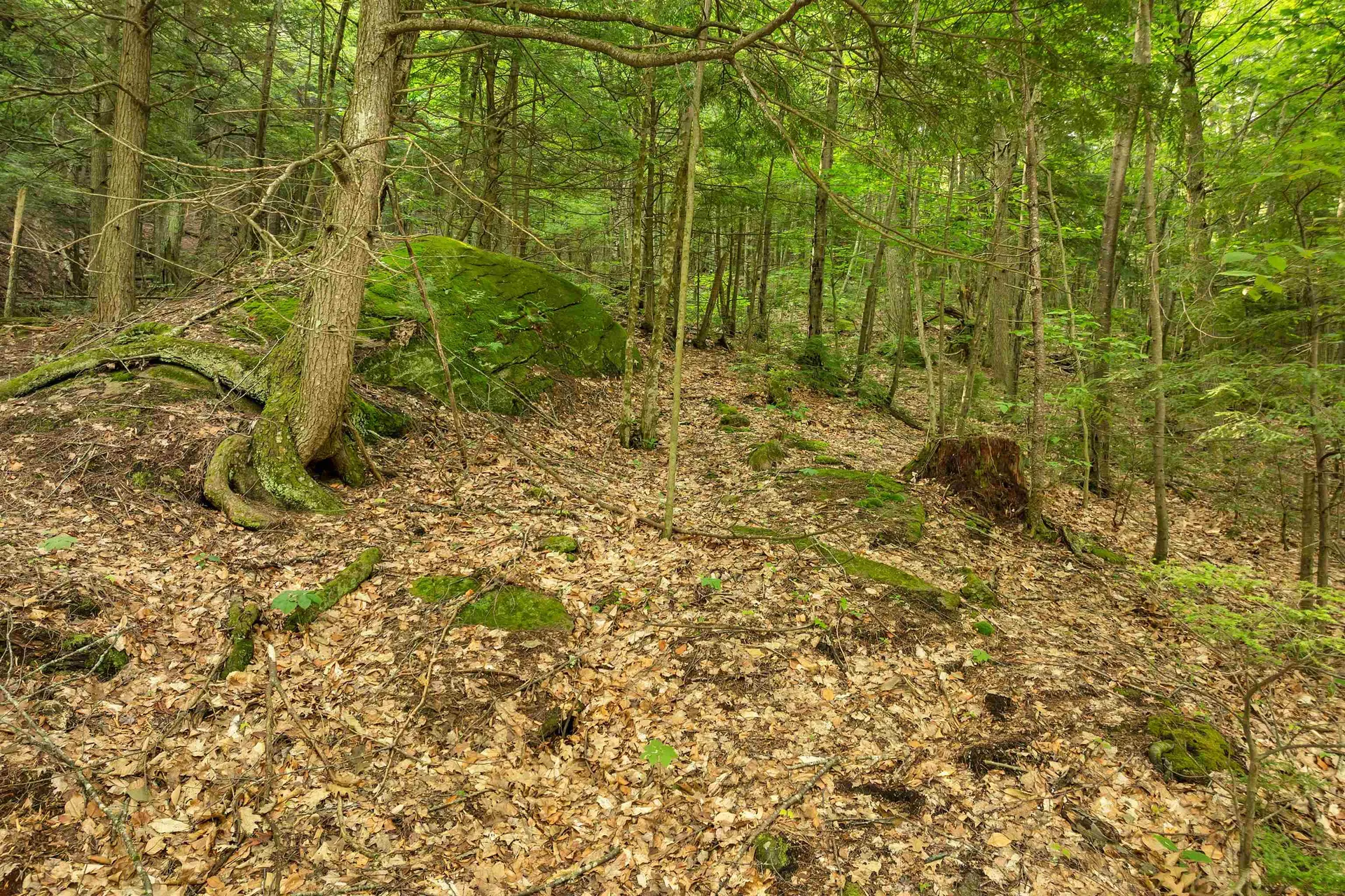 0 Interlaken Drive New Durham NH 03855