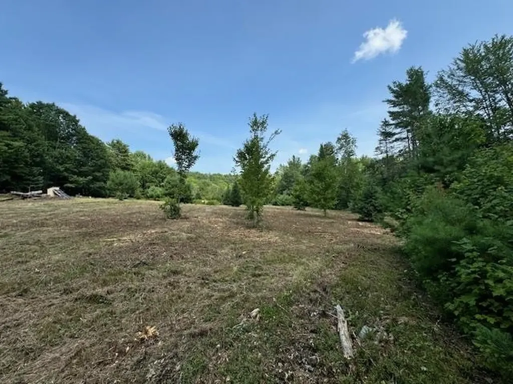 99 Stark Trail Newbury VT 05051