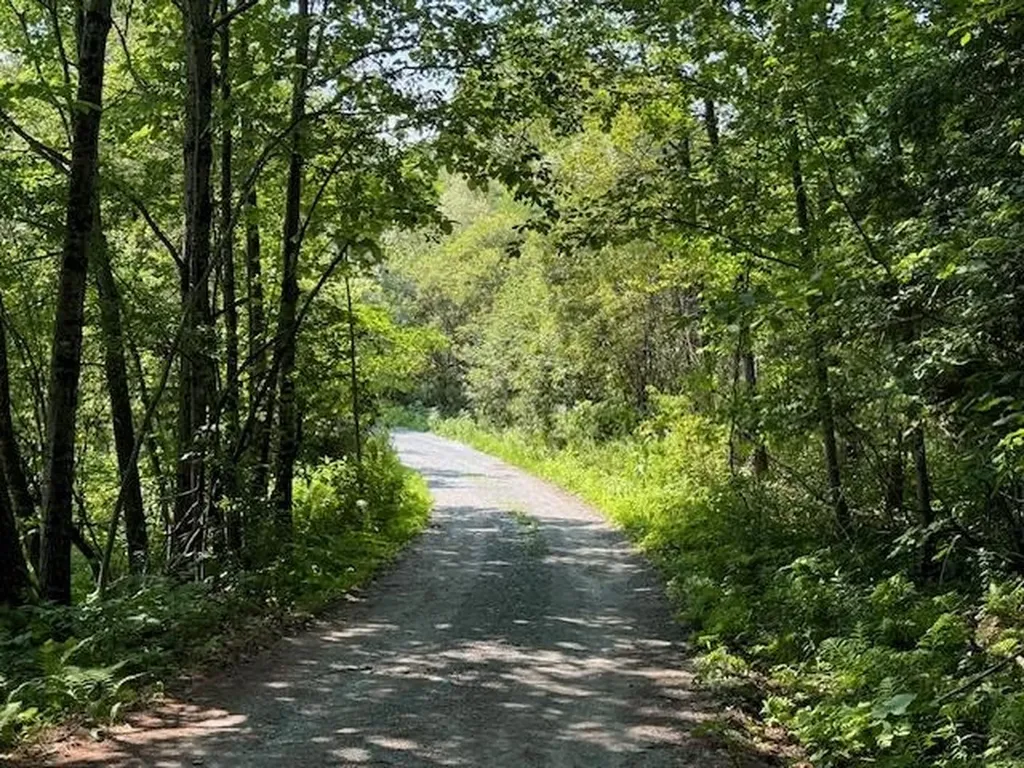 99 Stark Trail Newbury VT 05051