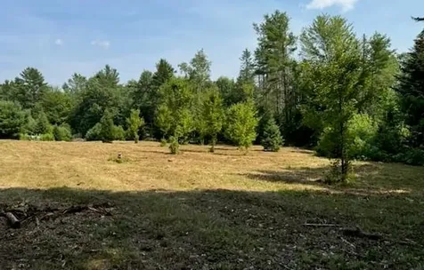 99 Stark Trail Newbury VT 05051