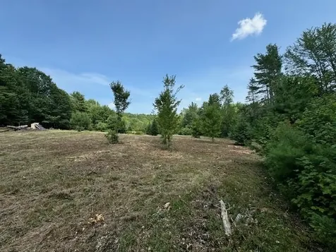 99 Stark Trail Newbury VT 05051