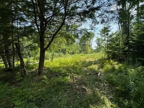 99 Stark Trail Newbury VT 05051