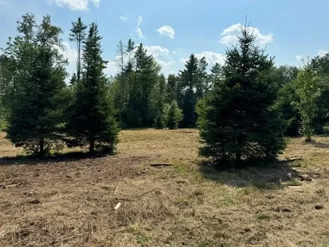 99 Stark Trail Newbury VT 05051