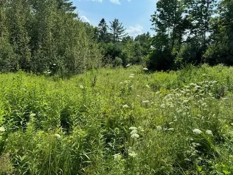 99 Stark Trail Newbury VT 05051