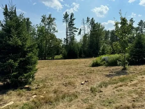 99 Stark Trail Newbury VT 05051