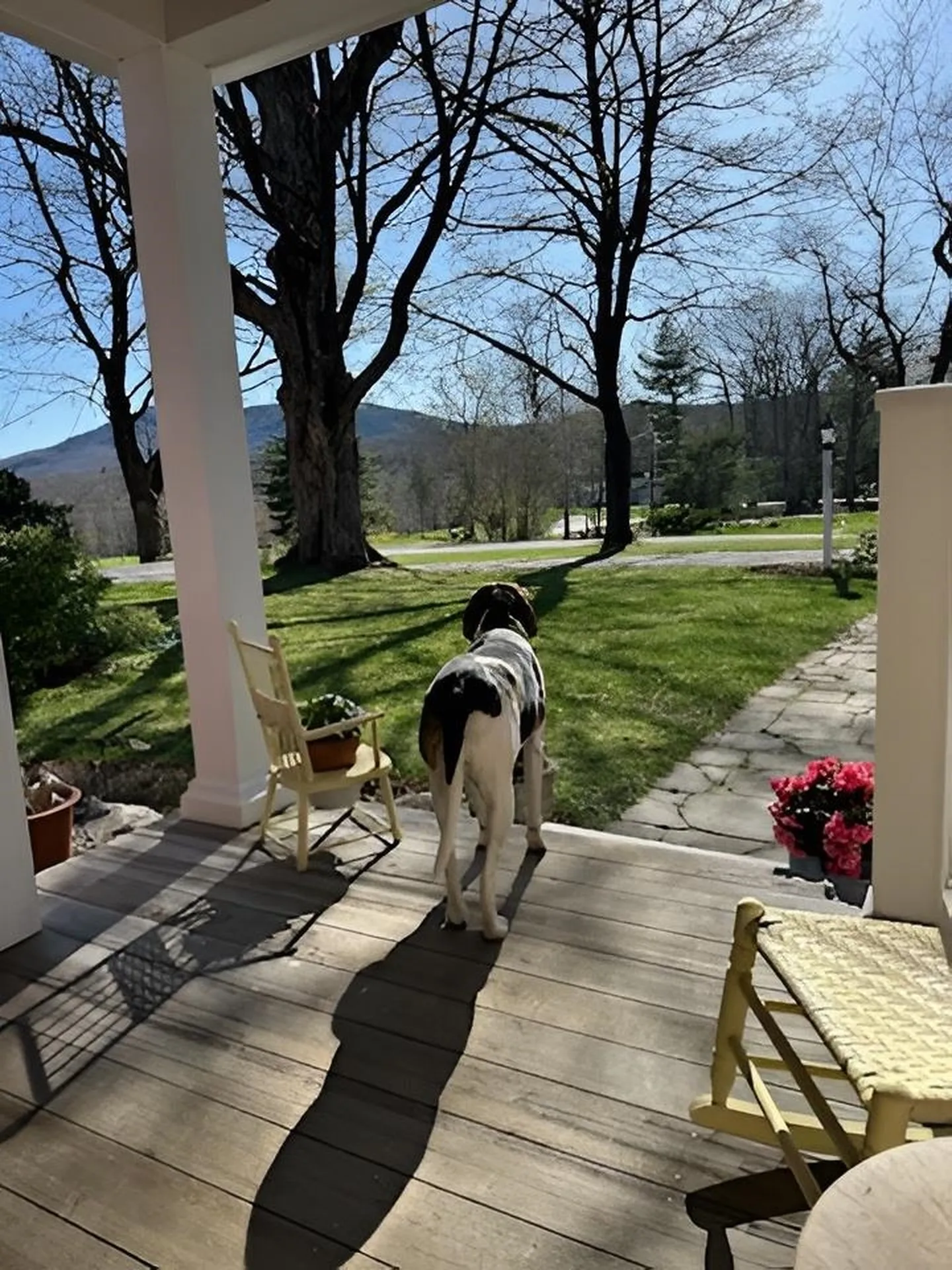 161 Upper Jaffrey Road Dublin NH 03444