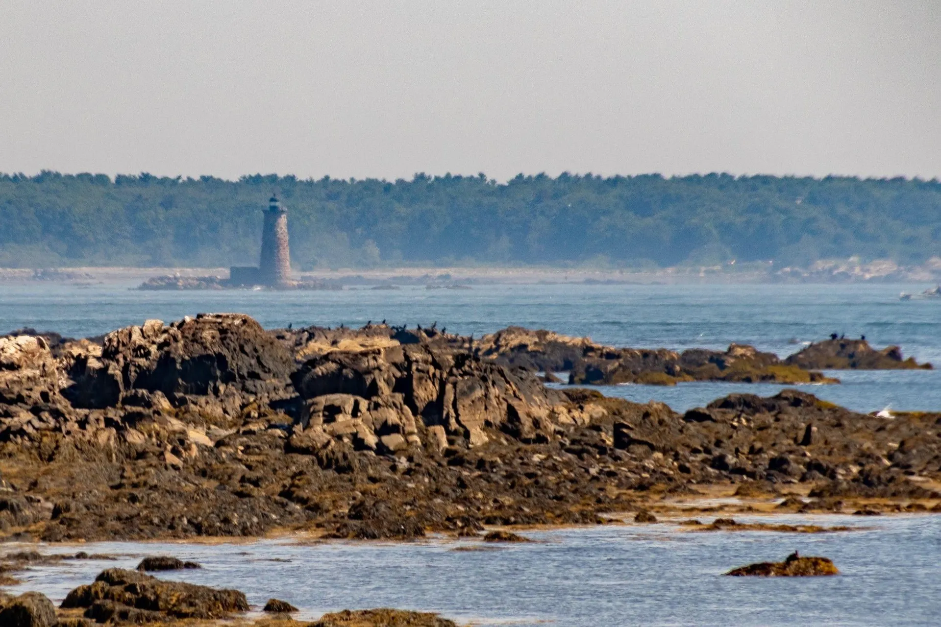 33 Willow Avenue North Hampton NH 03862