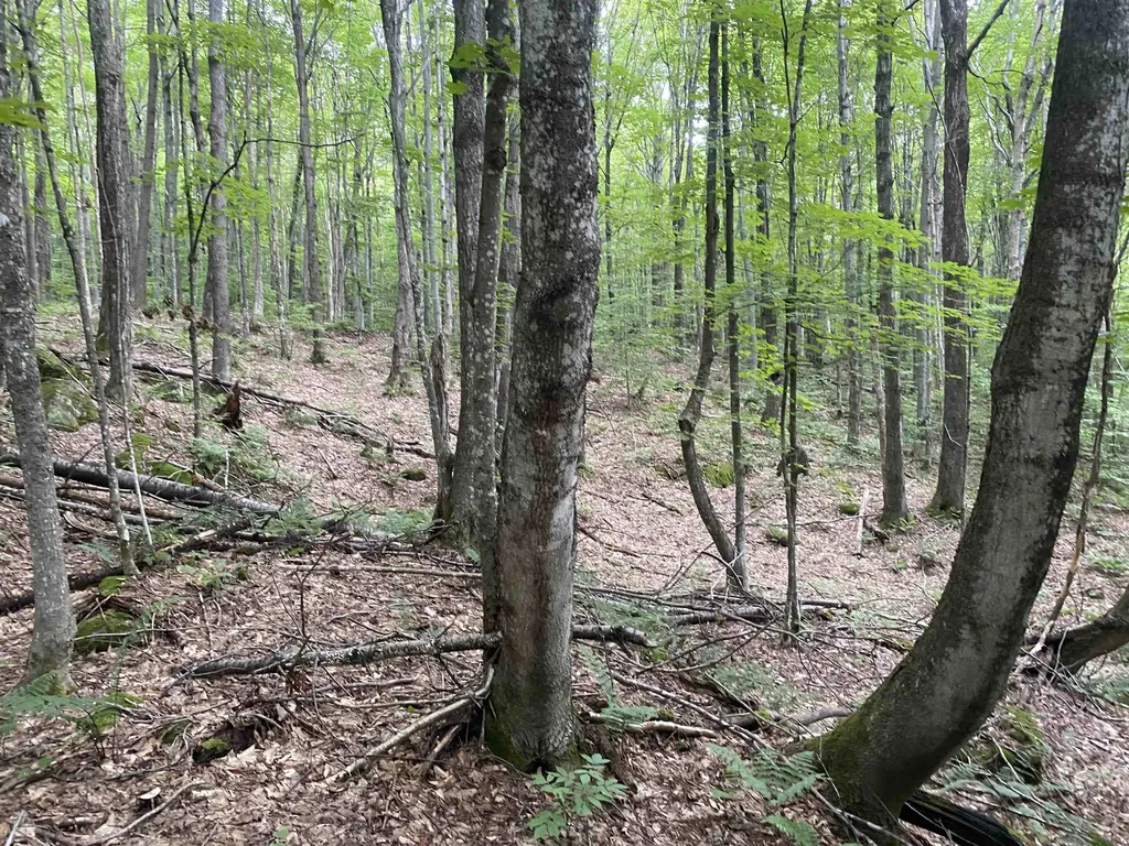 0 Maple Street Jay VT 05859