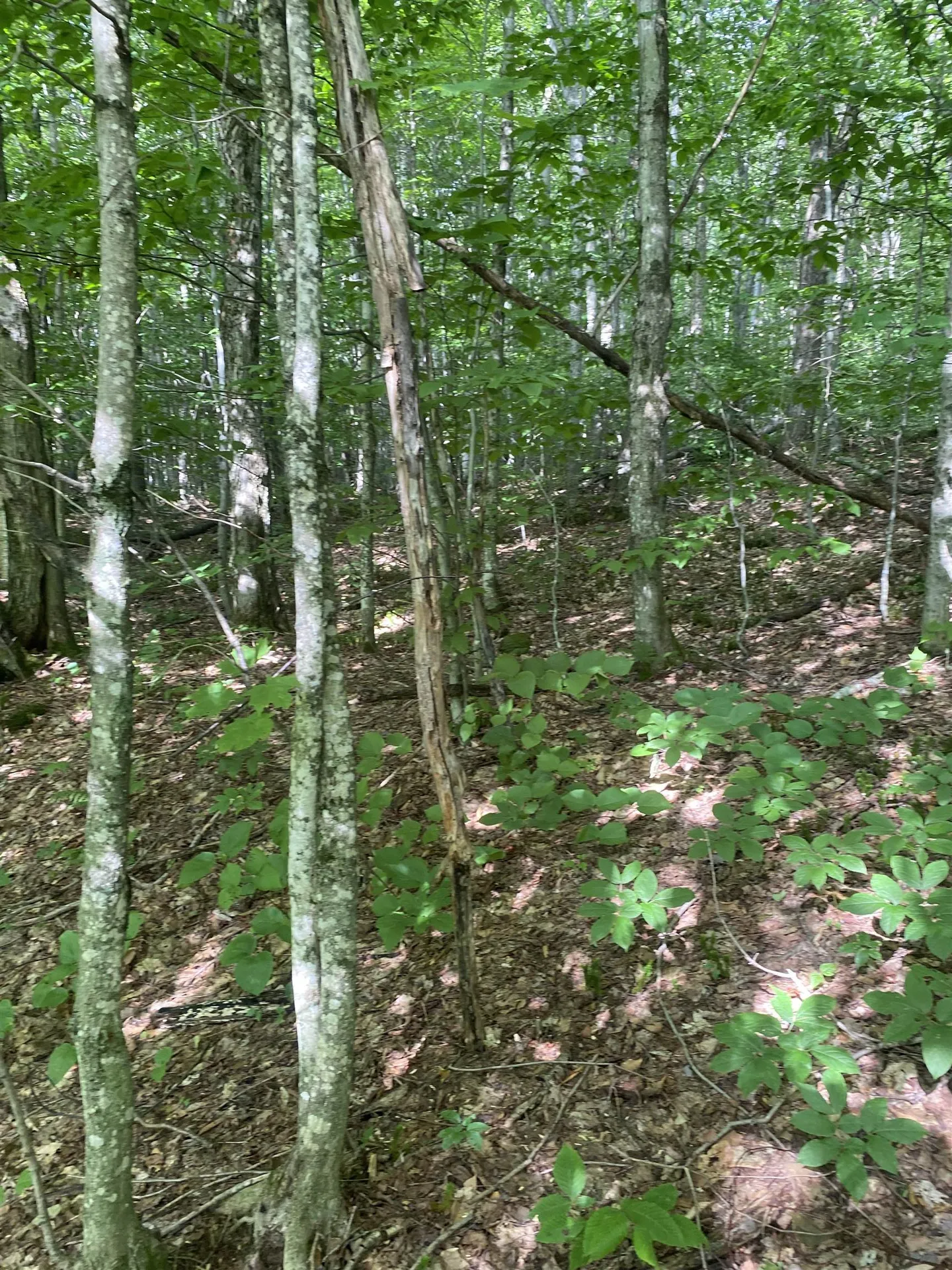 0 Maple Street Jay VT 05859