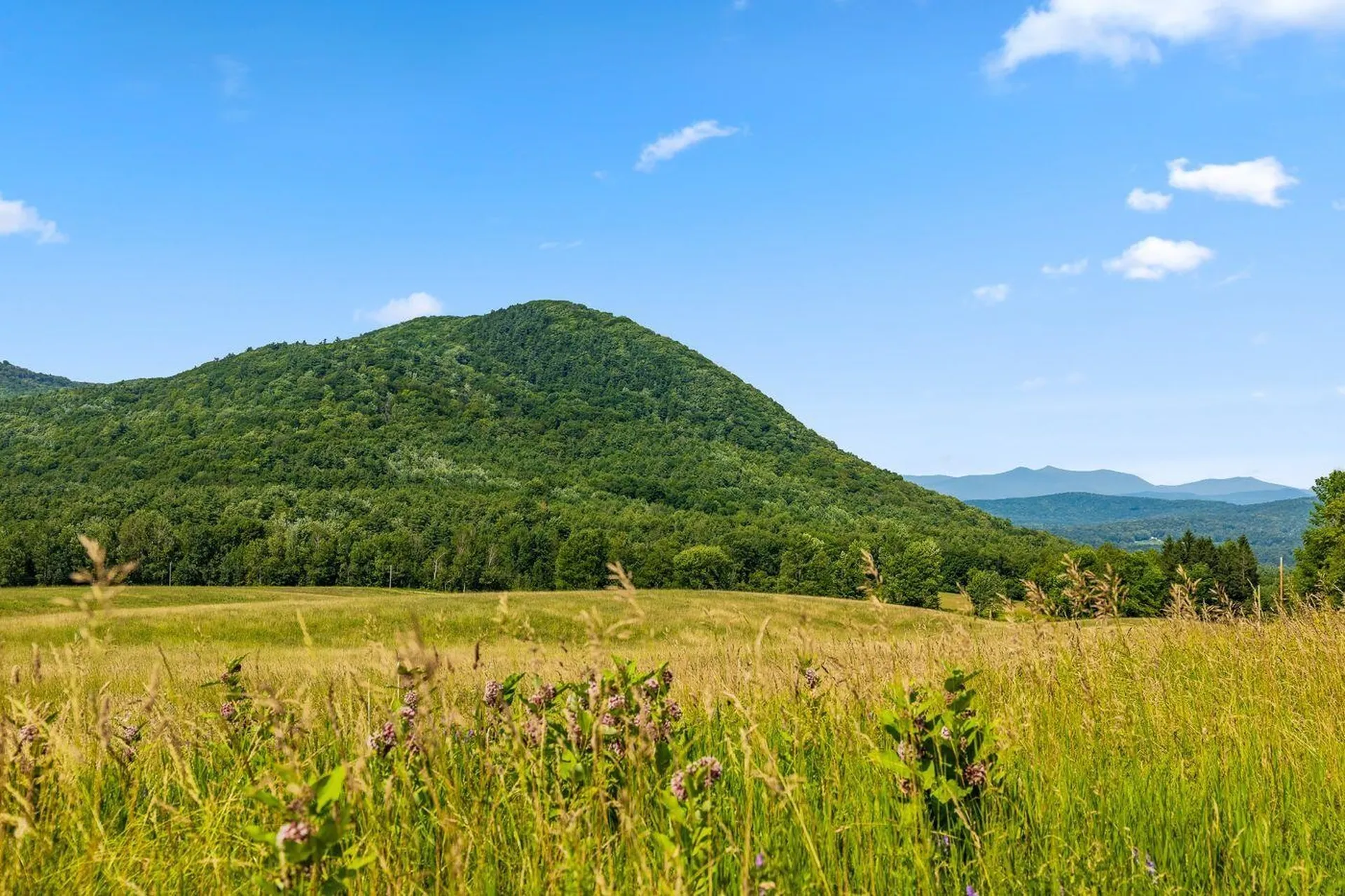 51 Gulf Road Tinmouth VT 05757