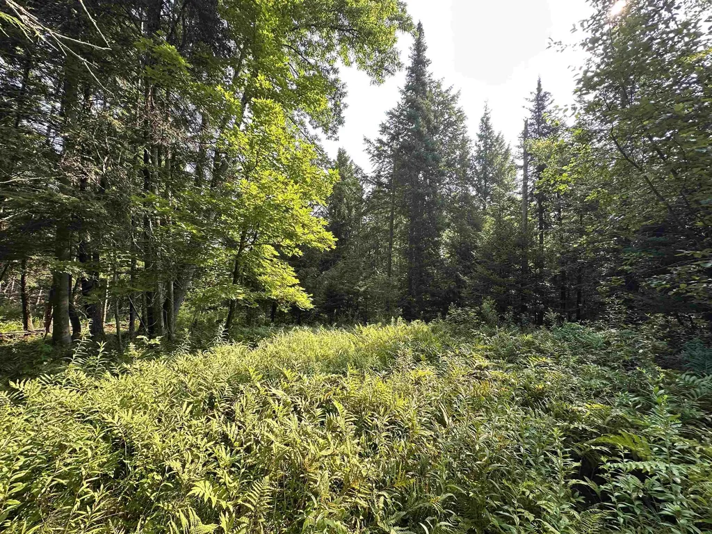 001 Elmore Pond Road Wolcott VT 05680