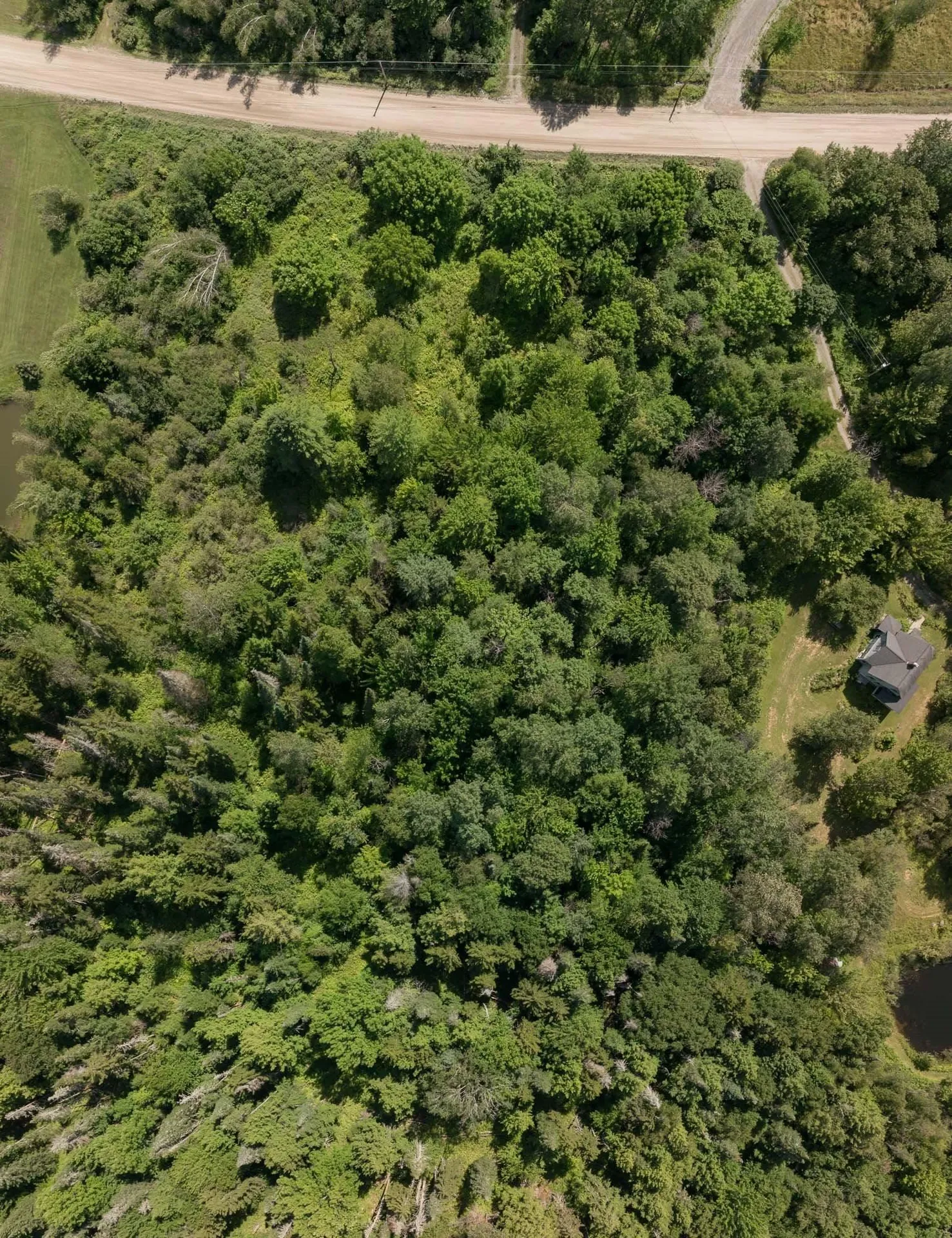 001 Elmore Pond Road Wolcott VT 05680