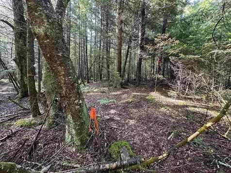 001 Elmore Pond Road Wolcott VT 05680