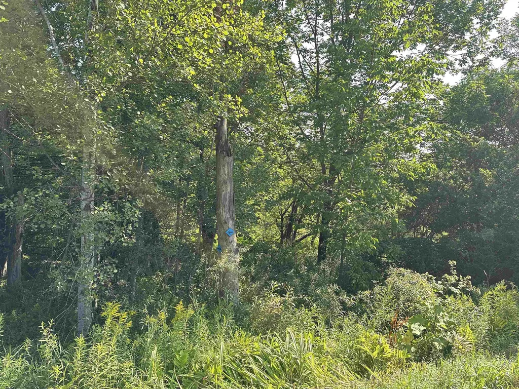 00 Elmore Pond Road Wolcott VT 05680