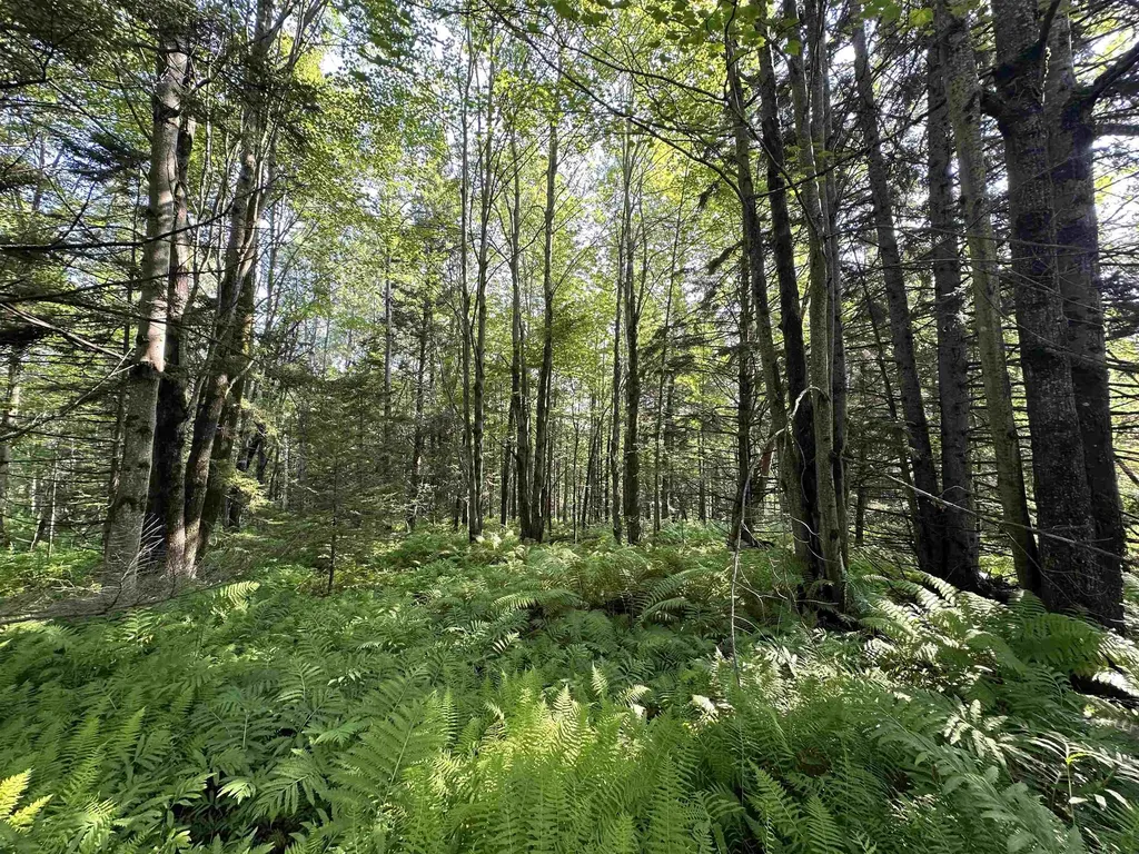 00 Elmore Pond Road Wolcott VT 05680