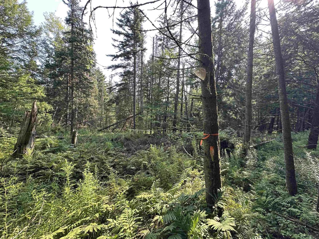 00 Elmore Pond Road Wolcott VT 05680