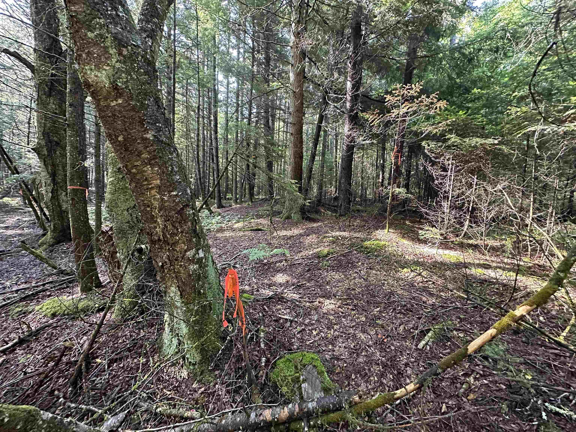 00 Elmore Pond Road Wolcott VT 05680