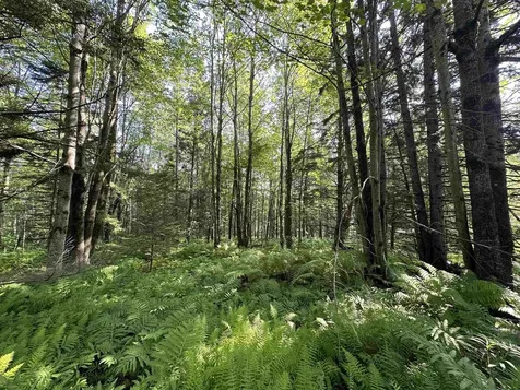 00 Elmore Pond Road Wolcott VT 05680
