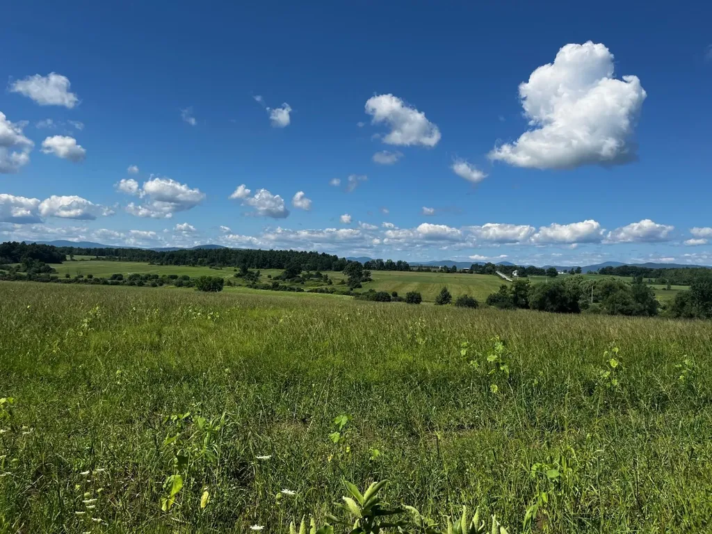 1650 Crown Point Road Bridport VT 05734