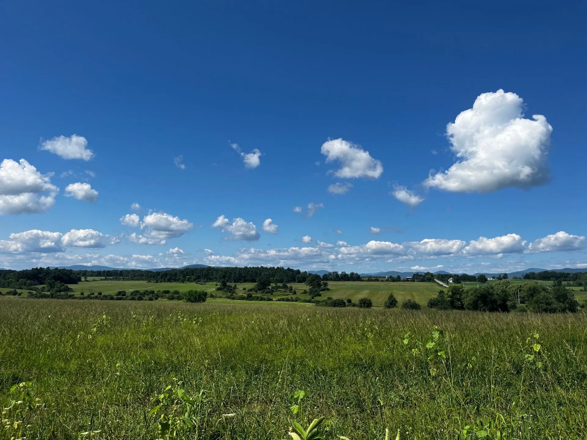 1650 Crown Point Road Bridport VT 05734