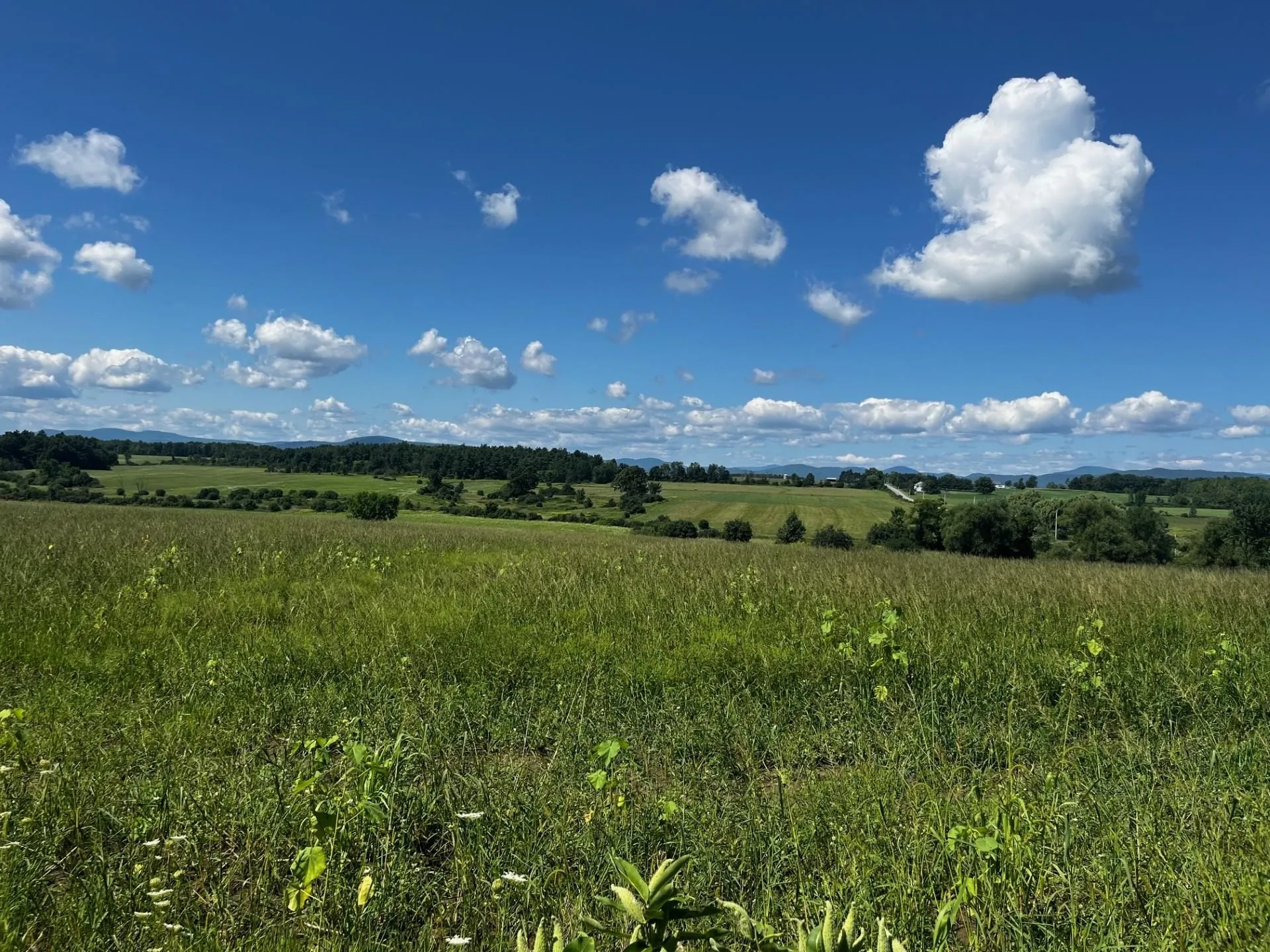 1650 Crown Point Road Bridport VT 05734