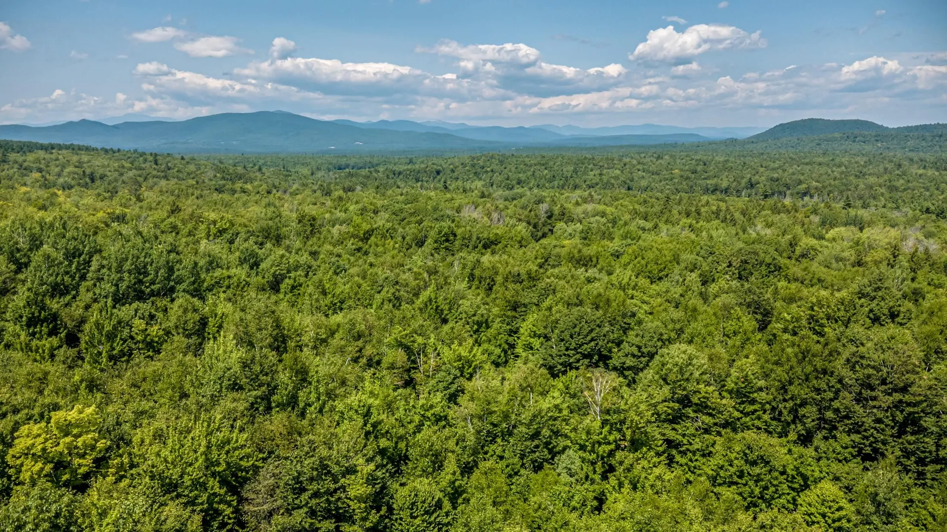 00 Brownfield Road Conway NH 03813