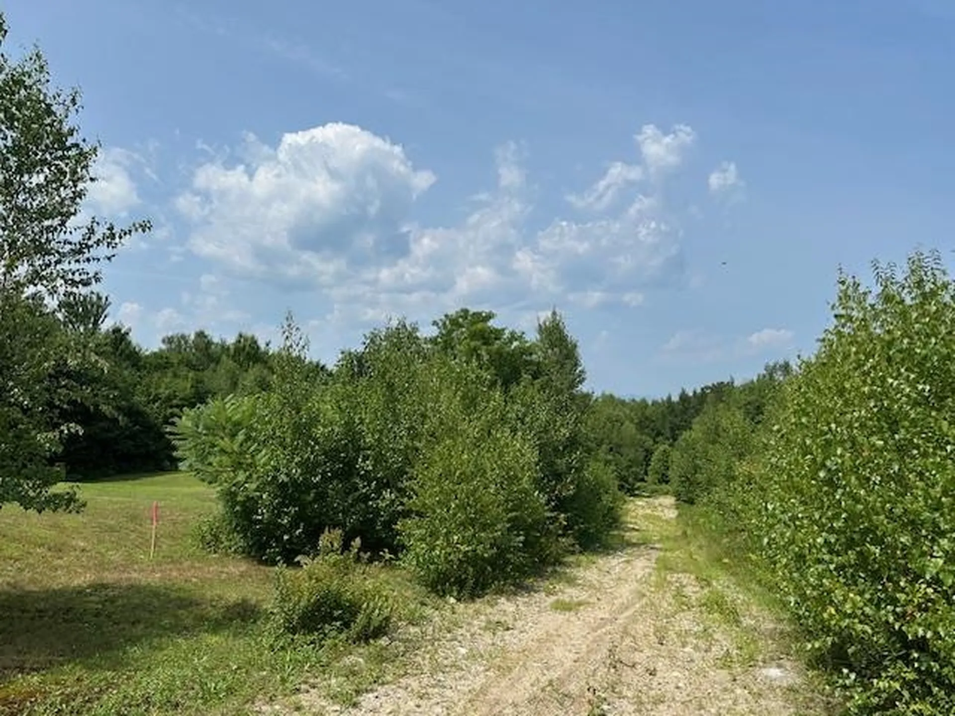 00 Brownfield Road Conway NH 03813