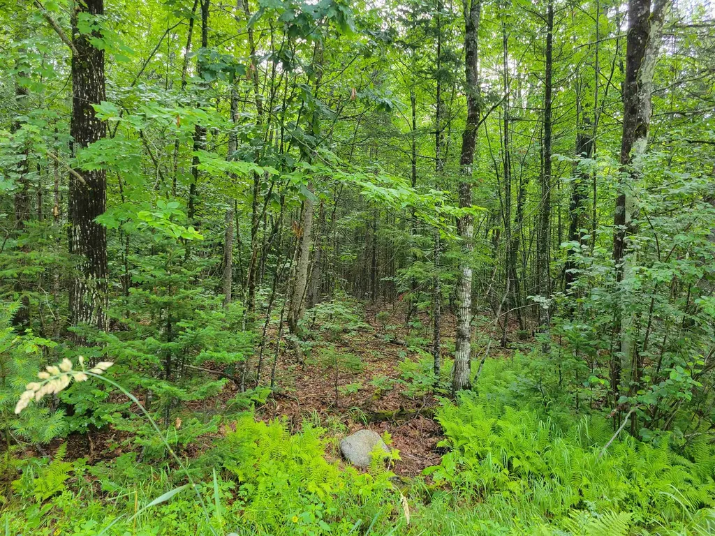 0 Union Hill Road Stow ME 04037