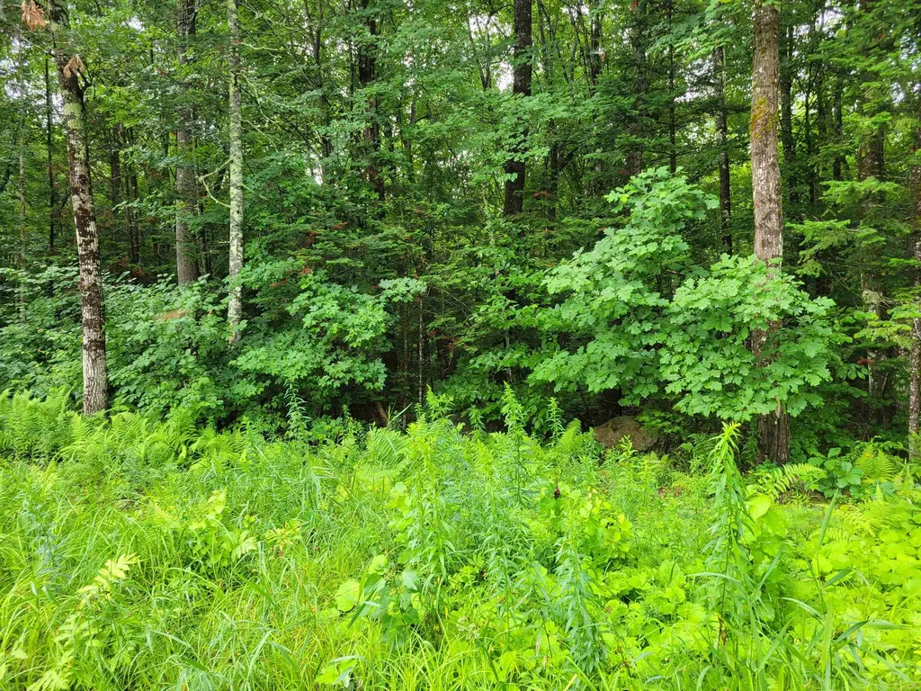 0 Union Hill Road Stow ME 04037