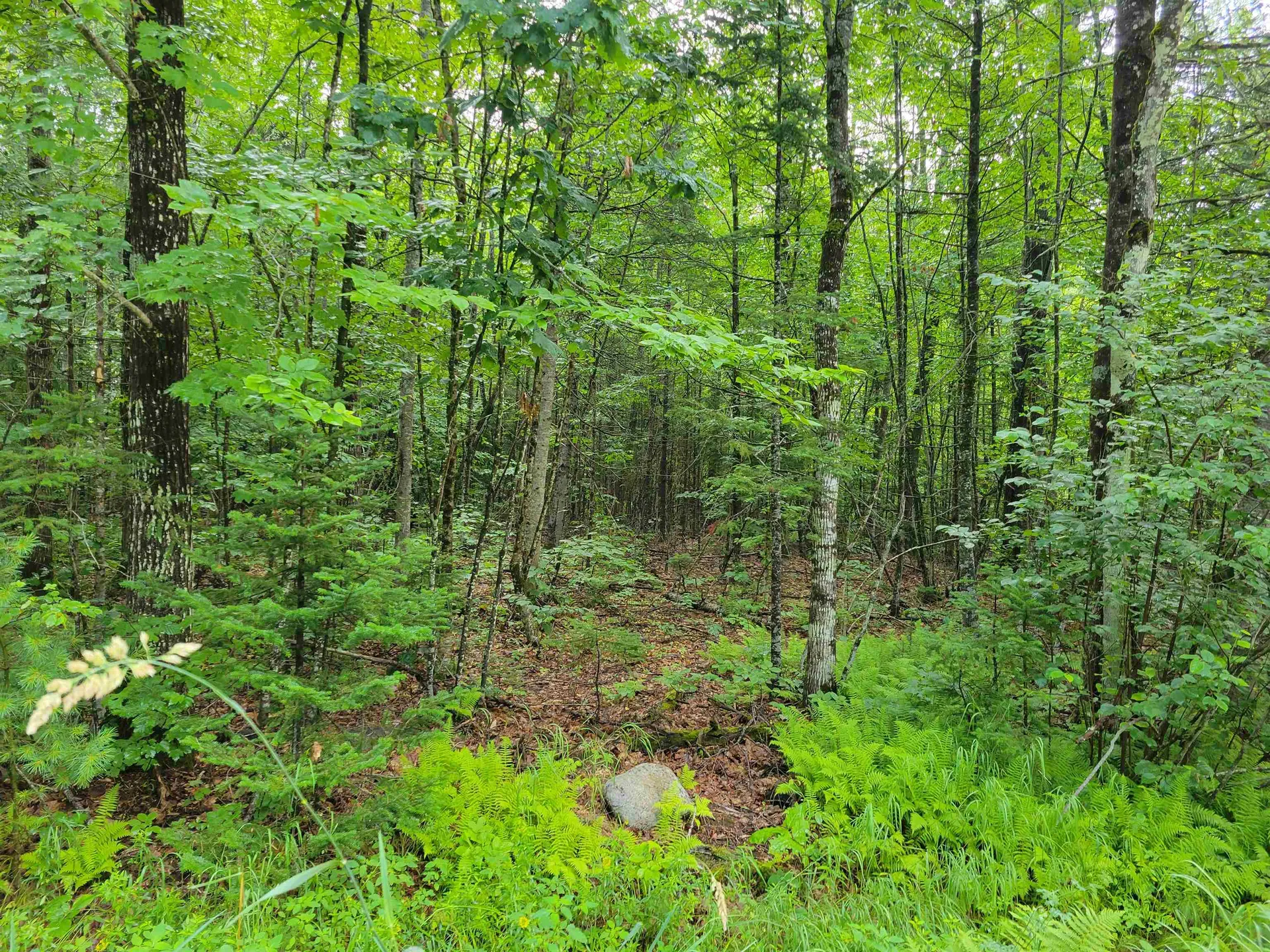 0 Union Hill Road Stow ME 04037