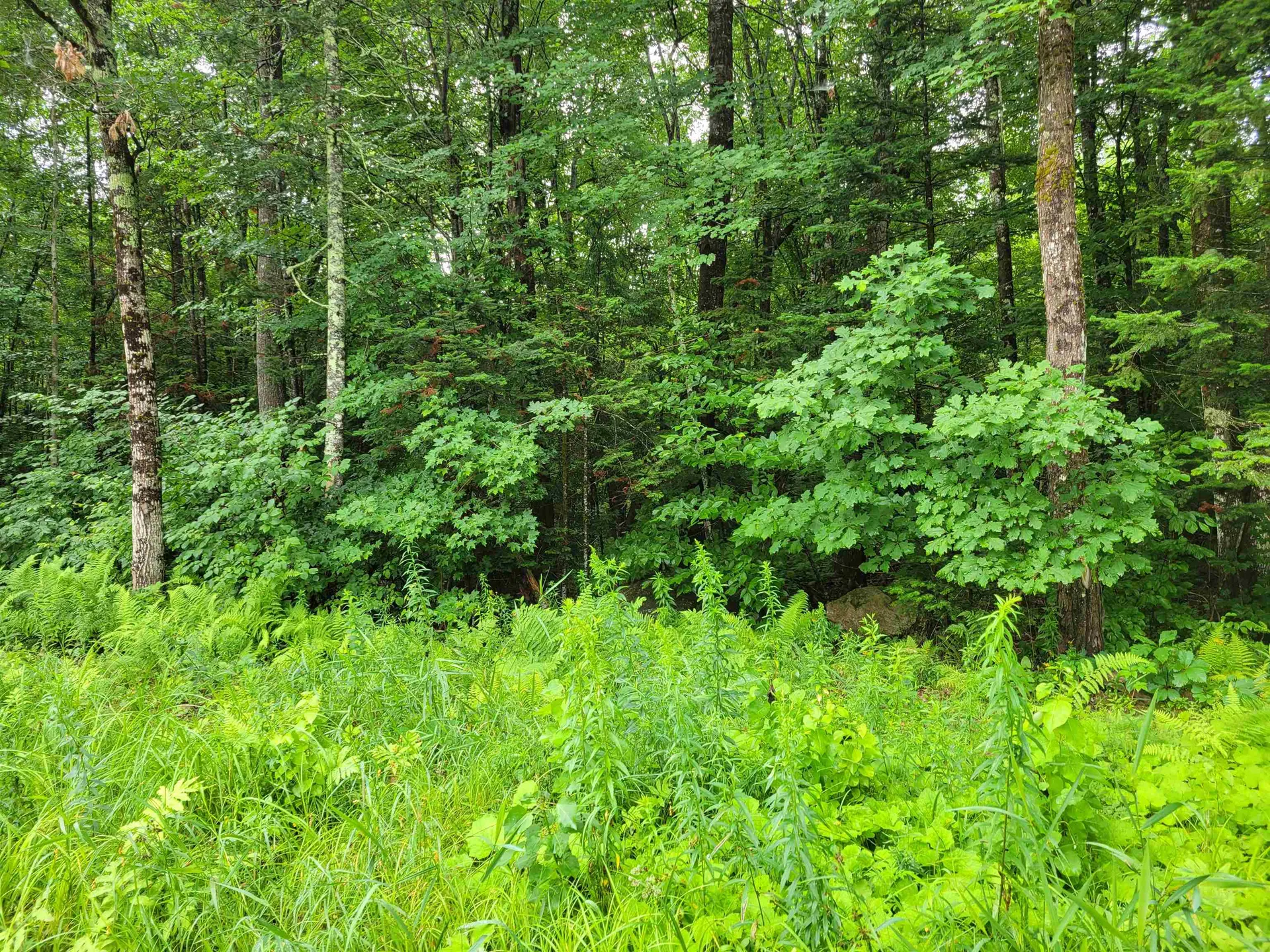 0 Union Hill Road Stow ME 04037