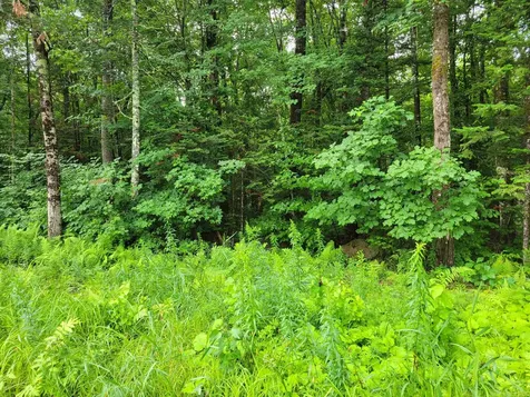 0 Union Hill Road Stow ME 04037