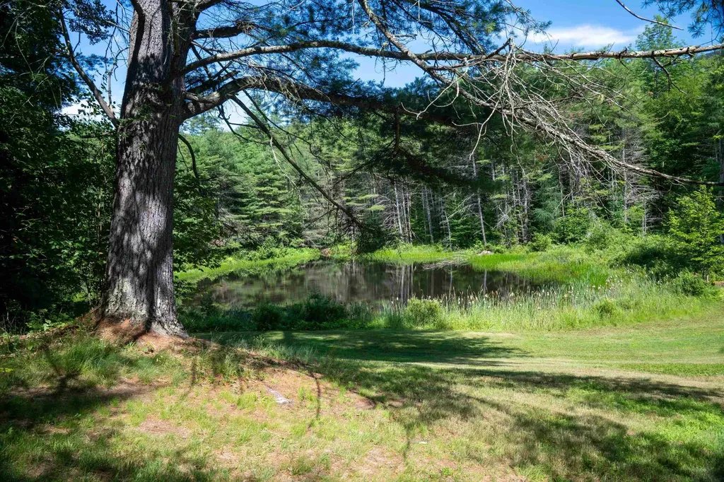 341 Under The Mountain Road Londonderry VT 05155