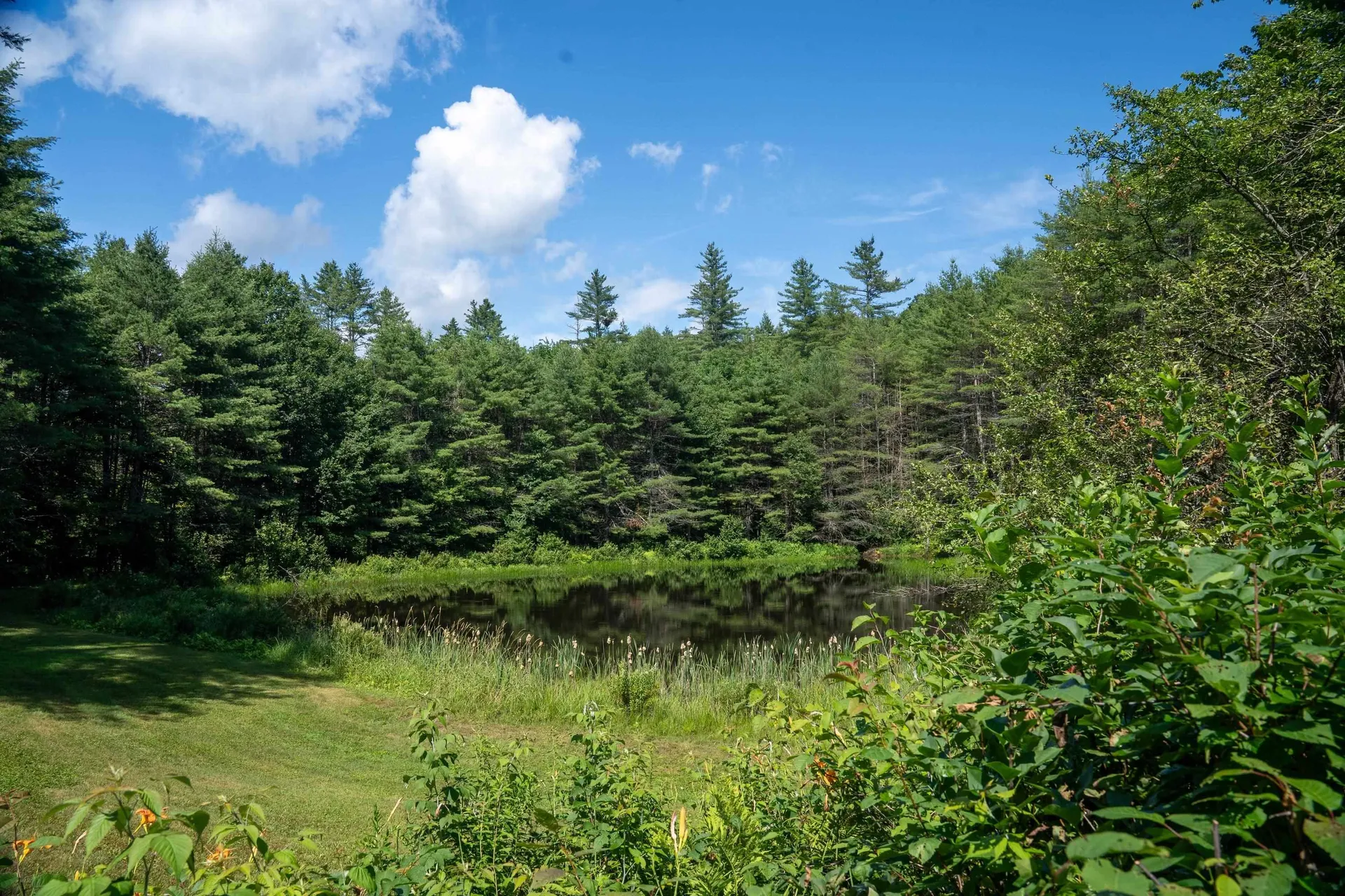 341 Under The Mountain Road Londonderry VT 05155