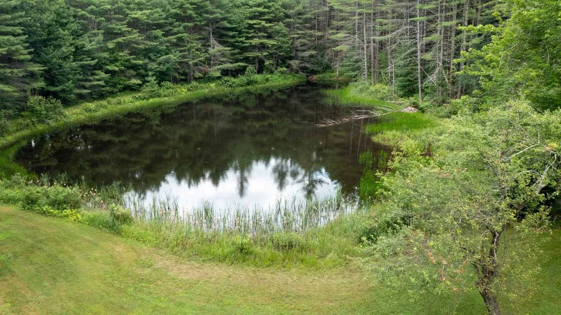 341 Under The Mountain Road Londonderry VT 05155