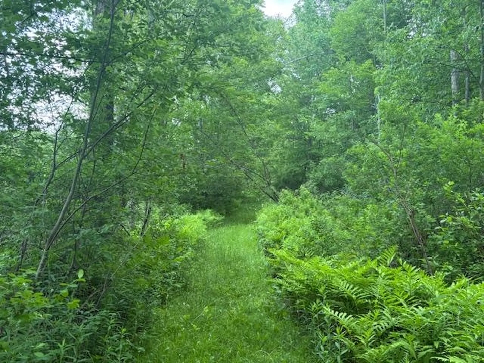 5518 Vt. Route 12 Barnard VT 05031