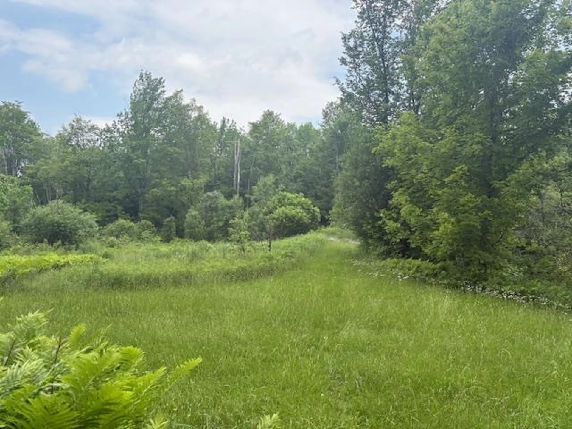 5518 Vt. Route 12 Barnard VT 05031