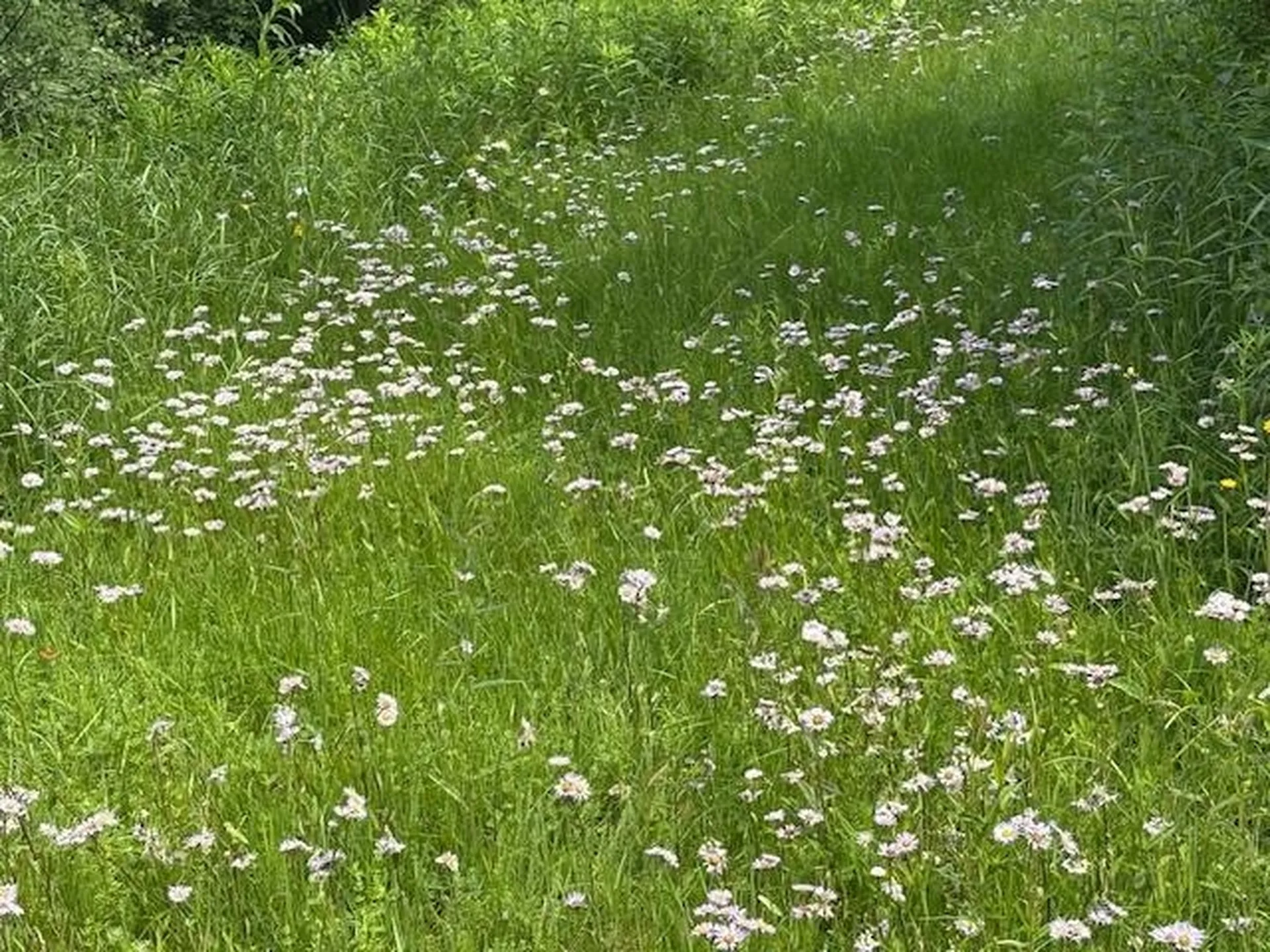 5518 Vt. Route 12 Barnard VT 05031