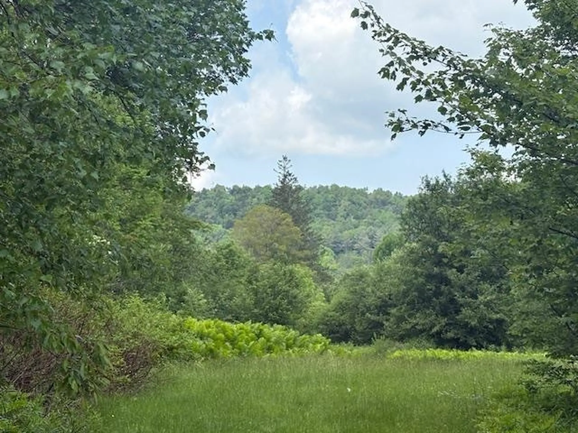 5518 Vt. Route 12 Barnard VT 05031