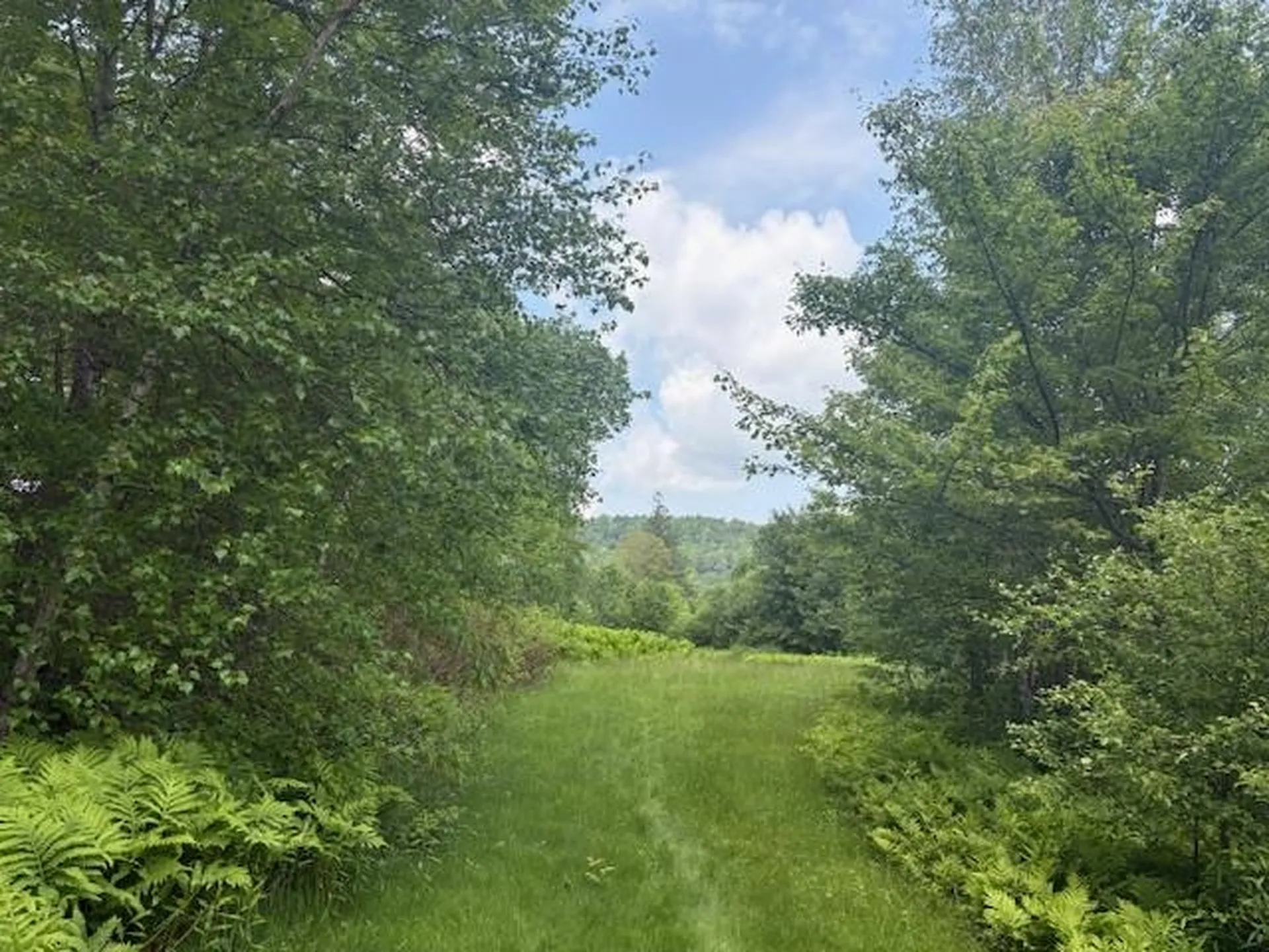 5518 Vt. Route 12 Barnard VT 05031