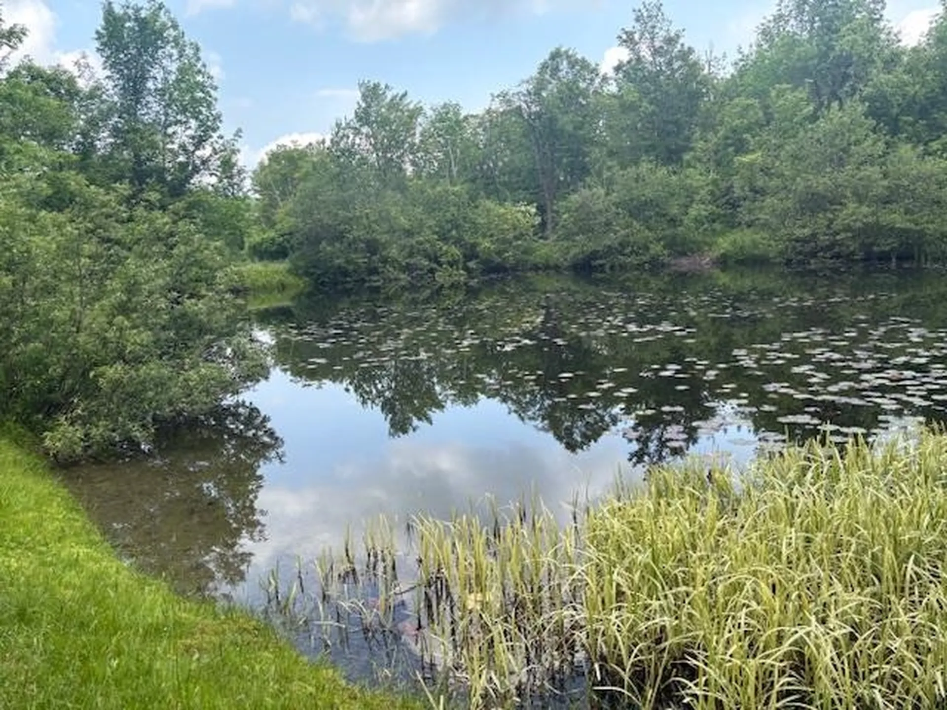 5518 Vt. Route 12 Barnard VT 05031