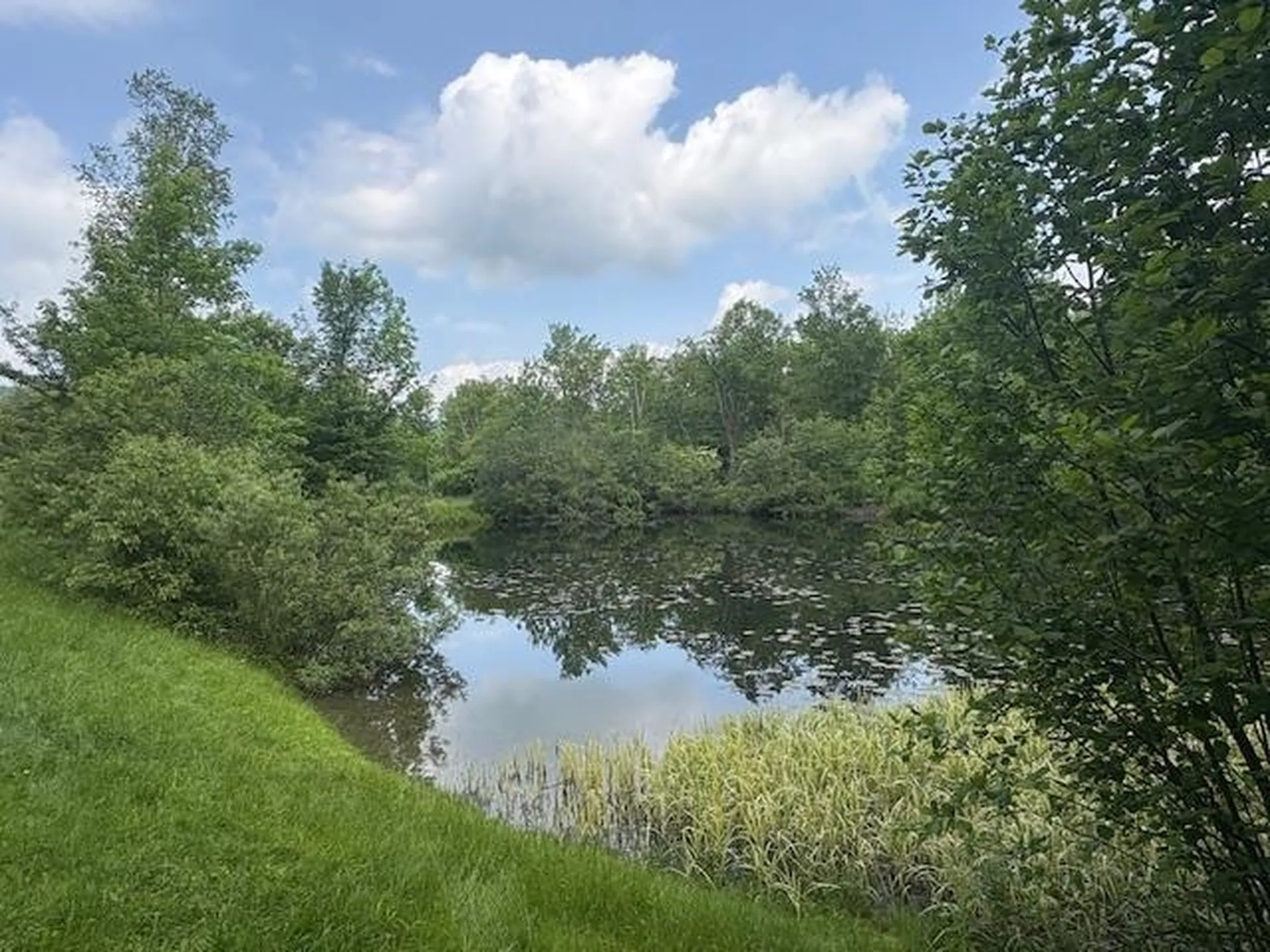 5518 Vt. Route 12 Barnard VT 05031