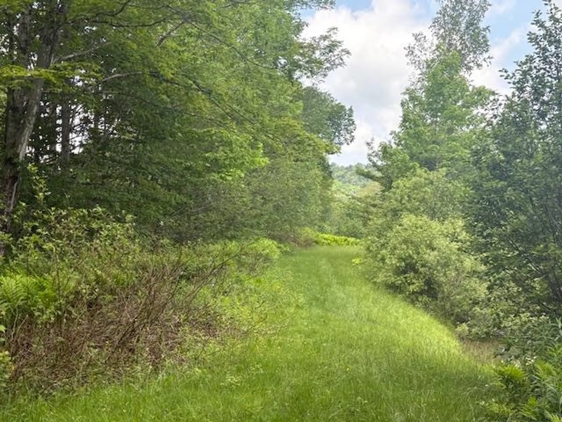 5518 Vt. Route 12 Barnard VT 05031