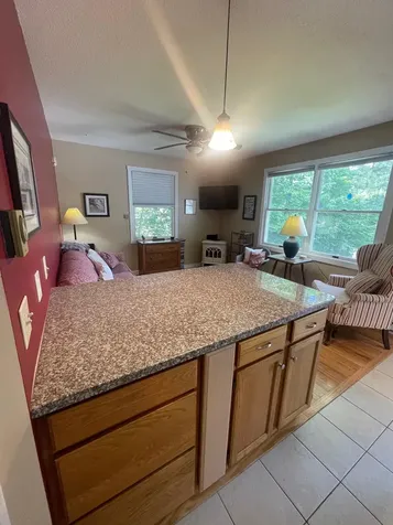 14 Lake Avenue Sunapee NH 03782