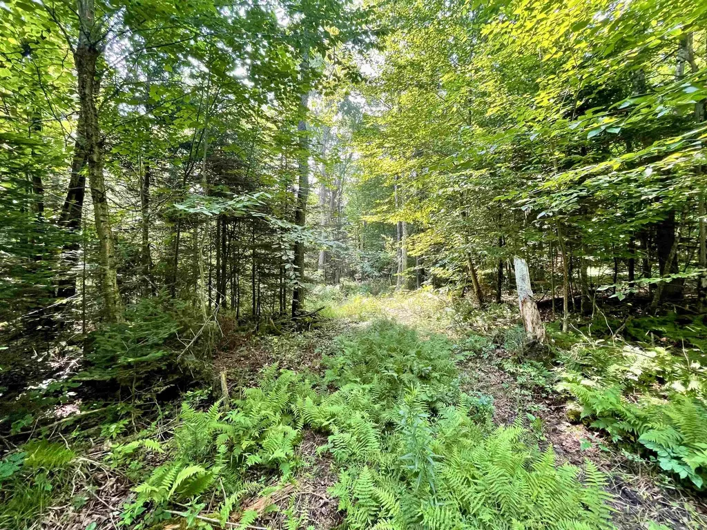 00 Peene Hill Road Westmore VT 05822