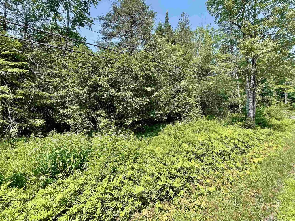 00 Peene Hill Road Westmore VT 05822