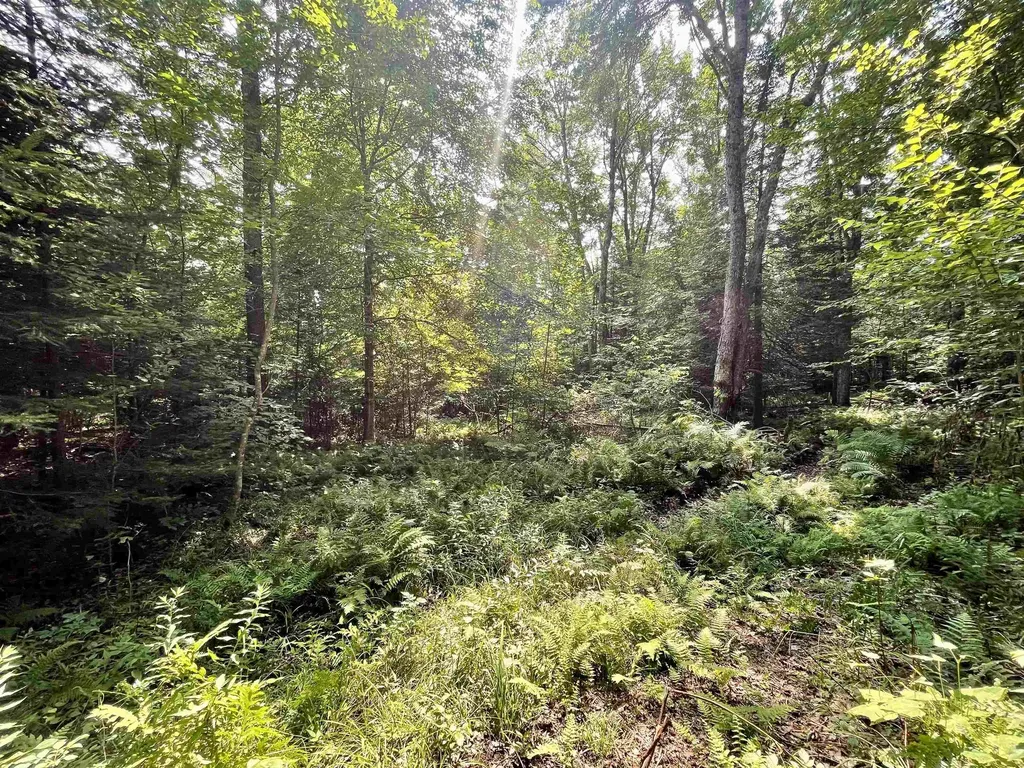 00 Peene Hill Road Westmore VT 05822