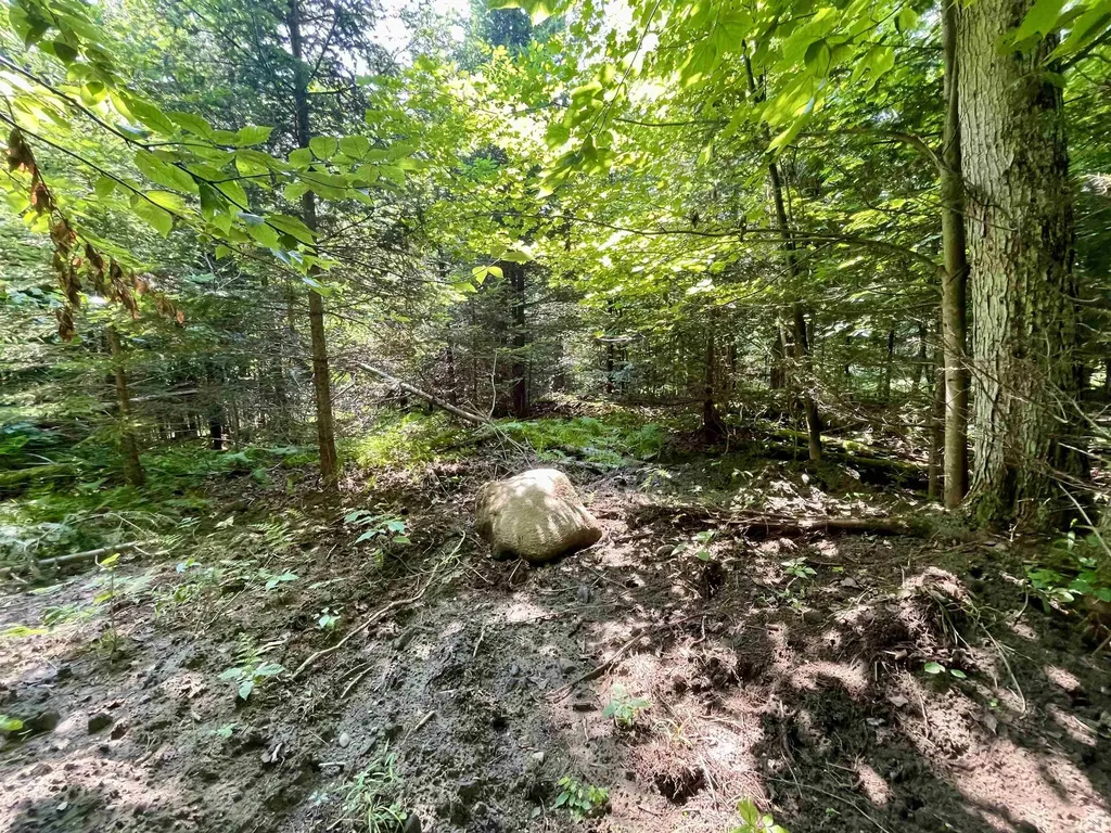 00 Peene Hill Road Westmore VT 05822