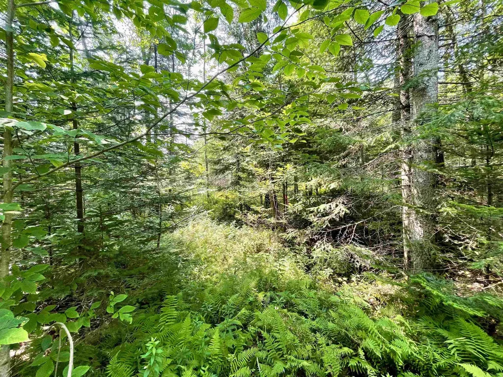 00 Peene Hill Road Westmore VT 05822