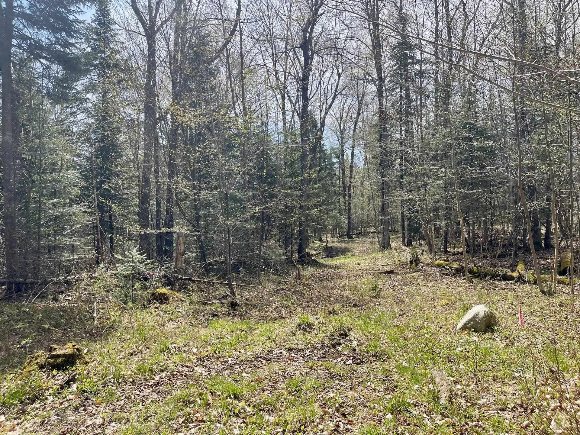 00 Peene Hill Road Westmore VT 05822